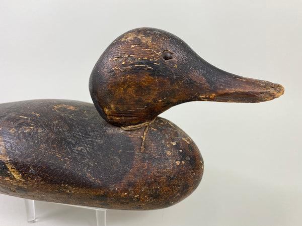 Dodge Mallard Hen (#9238)