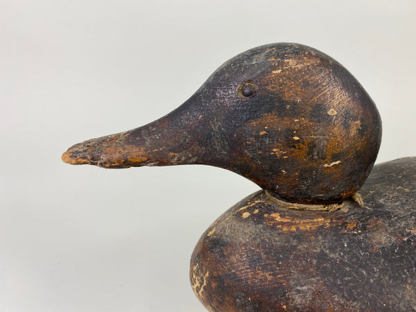 Dodge Mallard Hen (#9238)