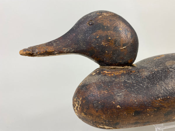 Dodge Mallard Hen (#9238)