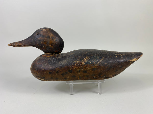 Dodge Mallard Hen (#9238)