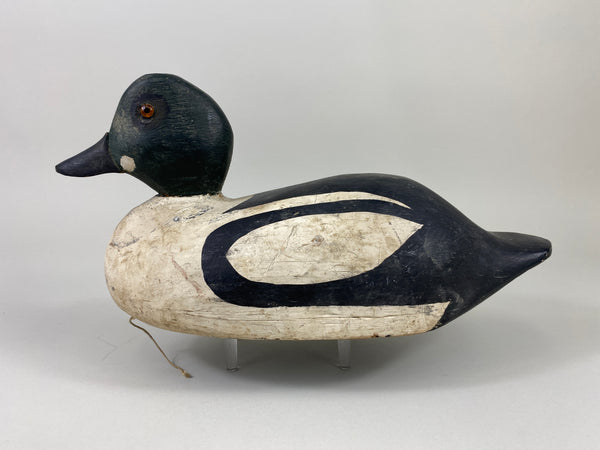 Goldeneye Drake, Attributed to Ferman Eyre (#9240)