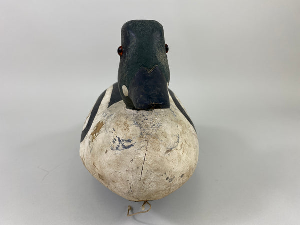 Goldeneye Drake, Attributed to Ferman Eyre (#9240)