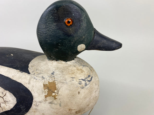 Goldeneye Drake, Attributed to Ferman Eyre (#9240)
