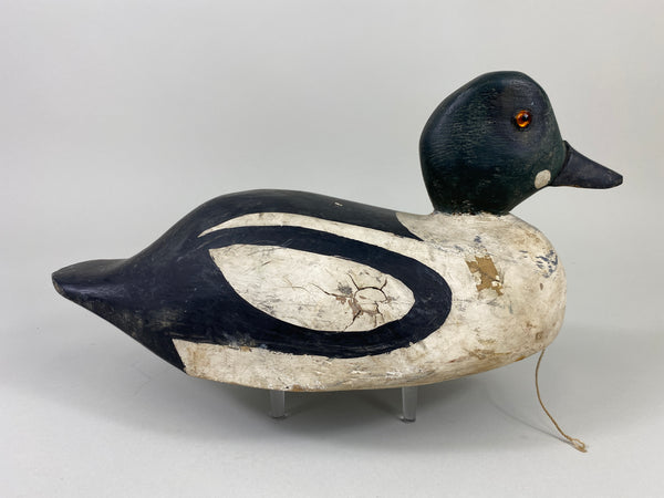 Goldeneye Drake, Attributed to Ferman Eyre (#9240)