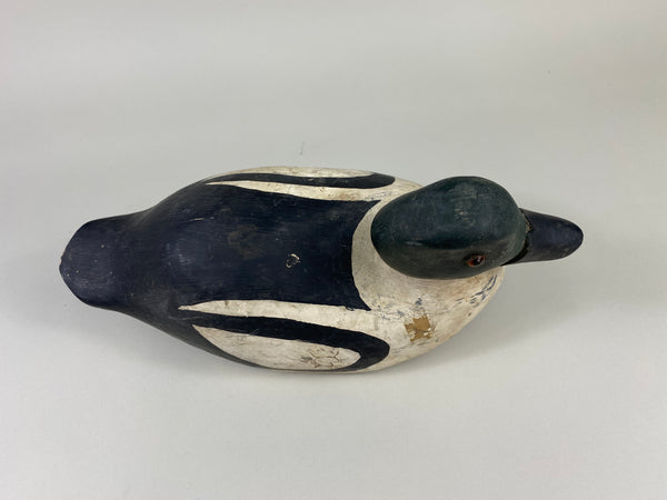 Goldeneye Drake, Attributed to Ferman Eyre (#9240)