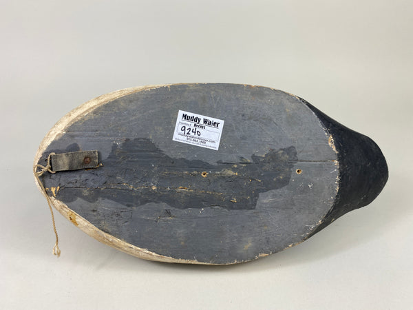 Goldeneye Drake, Attributed to Ferman Eyre (#9240)