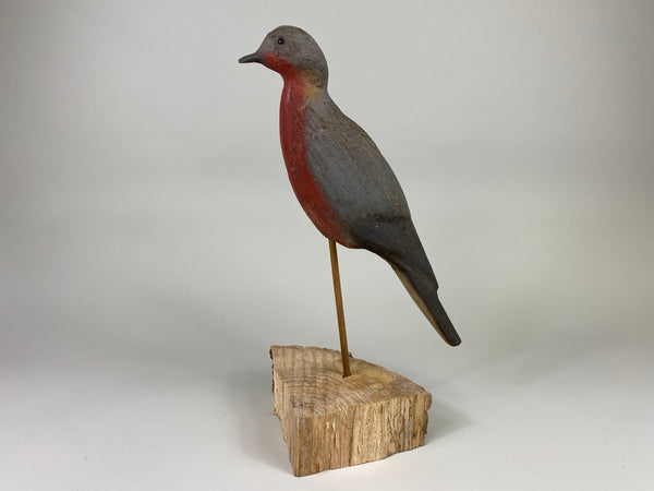 Herters 1893 Series Passenger Pigeon (#9246)