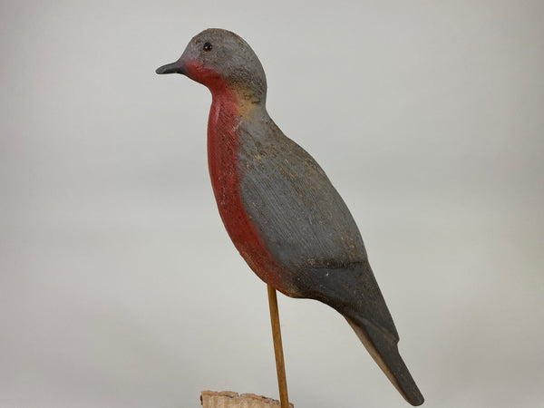 Herters 1893 Series Passenger Pigeon (#9246)