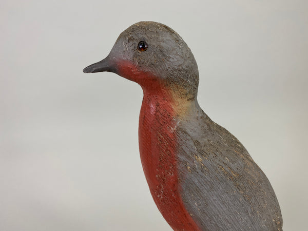 Herters 1893 Series Passenger Pigeon (#9246)