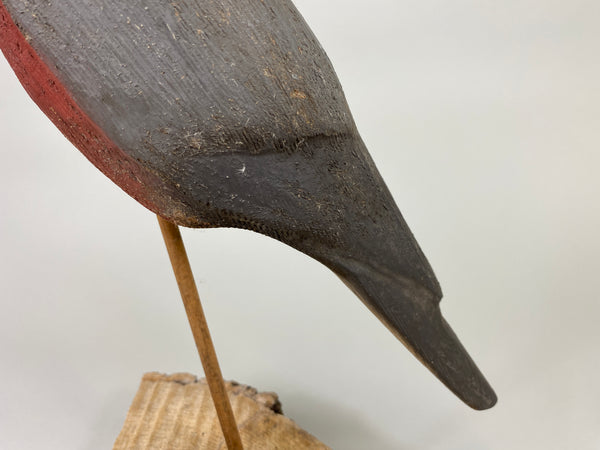 Herters 1893 Series Passenger Pigeon (#9246)