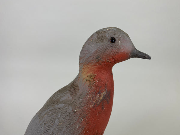 Herters 1893 Series Passenger Pigeon (#9246)