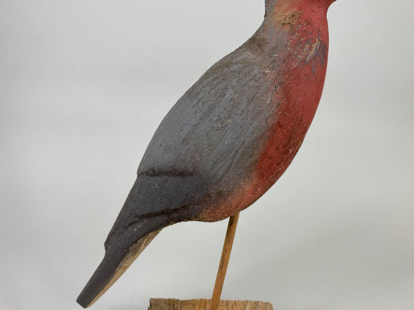 Herters 1893 Series Passenger Pigeon (#9246)