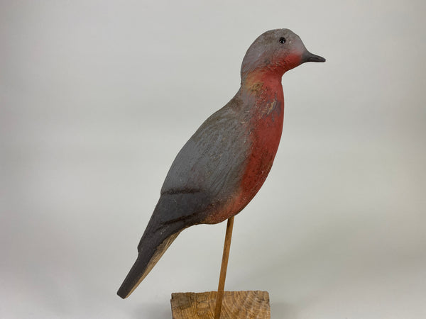 Herters 1893 Series Passenger Pigeon (#9246)