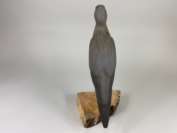 Herters 1893 Series Passenger Pigeon (#9246)