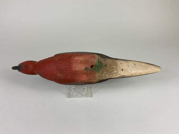 Herters 1893 Series Passenger Pigeon (#9246)