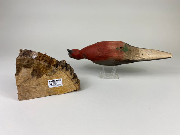 Herters 1893 Series Passenger Pigeon (#9246)