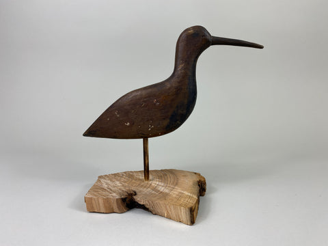 New Jersey Shorebird, Circa 1890's (#9258)