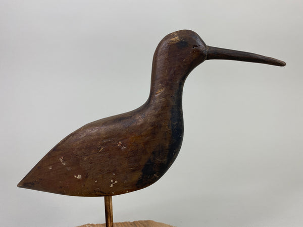 New Jersey Shorebird, Circa 1890's (#9258)