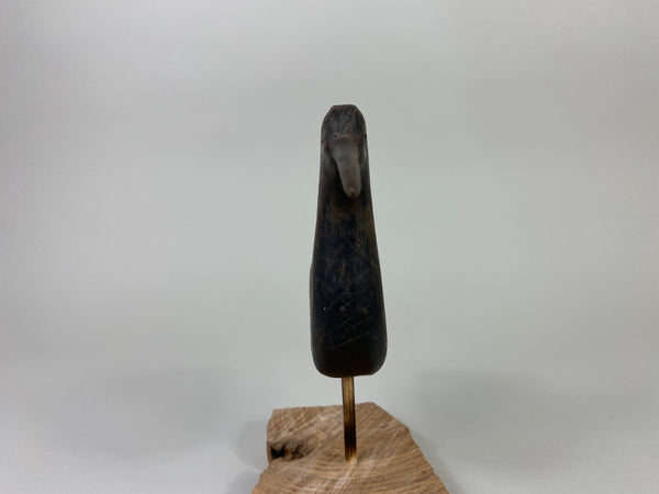 New Jersey Shorebird, Circa 1890's (#9258)