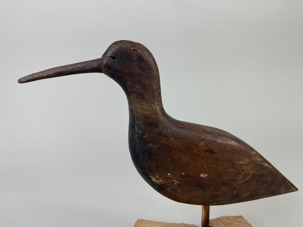 New Jersey Shorebird, Circa 1890's (#9258)