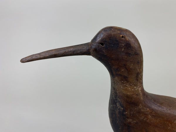 New Jersey Shorebird, Circa 1890's (#9258)
