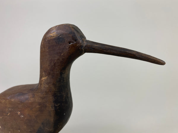 New Jersey Shorebird, Circa 1890's (#9258)