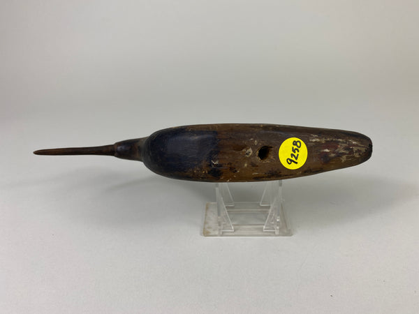 New Jersey Shorebird, Circa 1890's (#9258)