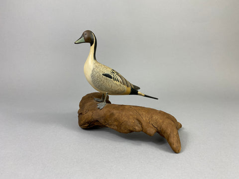 Eckstein Mini Pintail Drake Standing on Log (#9267)
