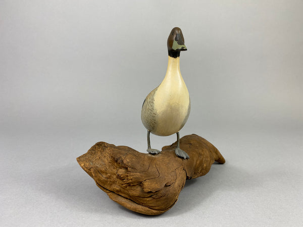 Eckstein Mini Pintail Drake Standing on Log (#9267)