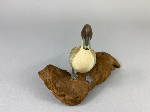 Eckstein Mini Pintail Drake Standing on Log (#9267)