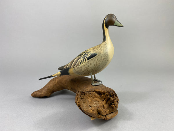 Eckstein Mini Pintail Drake Standing on Log (#9267)