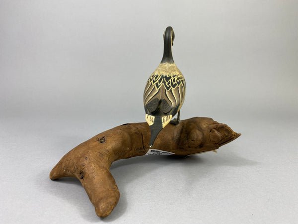 Eckstein Mini Pintail Drake Standing on Log (#9267)