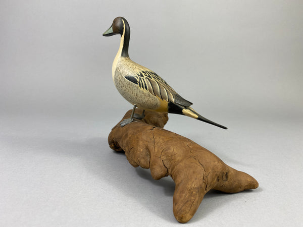 Eckstein Mini Pintail Drake Standing on Log (#9267)