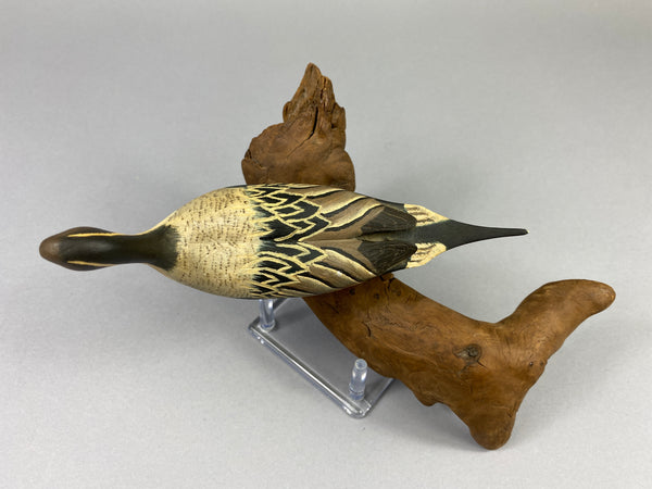 Eckstein Mini Pintail Drake Standing on Log (#9267)