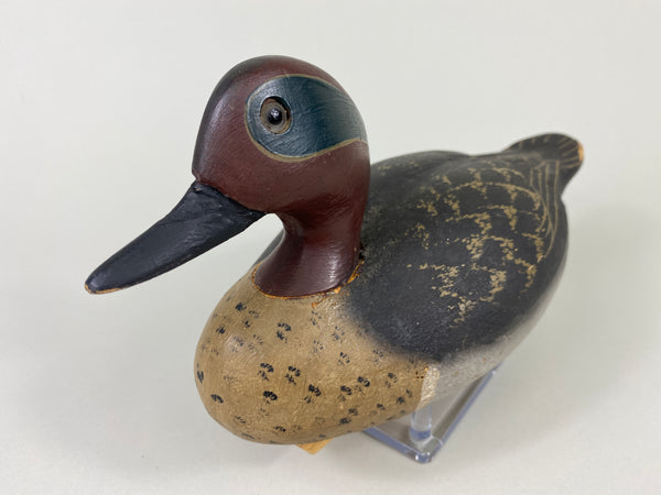 Wildfowler Green-Wing Teal Drake (#9280)
