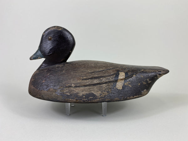 Canadian Goldeneye Hen, Original Paint (#9290)