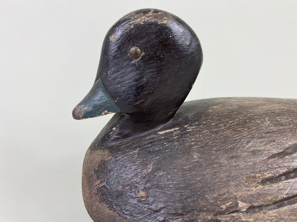 Canadian Goldeneye Hen, Original Paint (#9290)