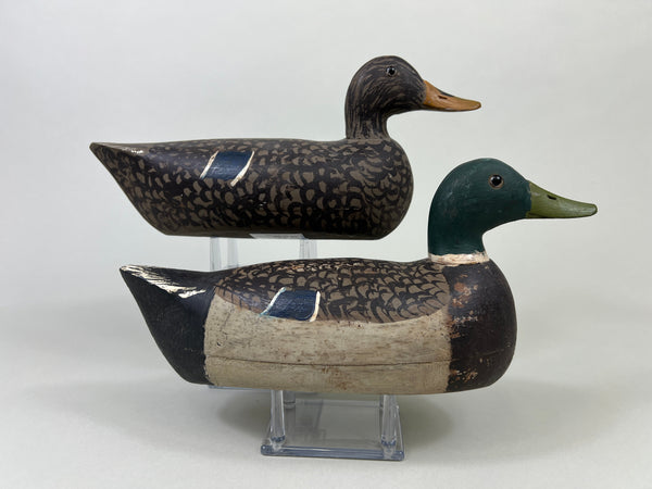 Schoenheider, Jr. 2/3 size Mallards Pair, Circa 1950 (#3856)