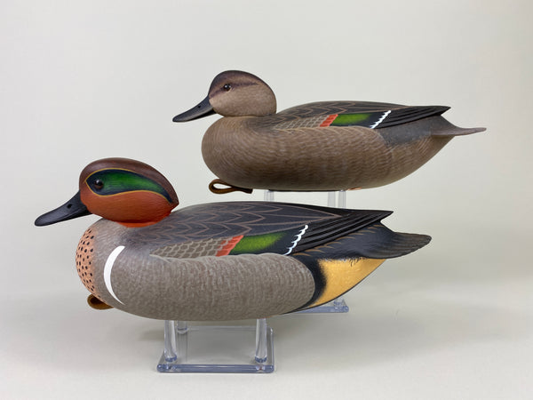Frederick Brown Pair of Green-Winged Teal (#9310)