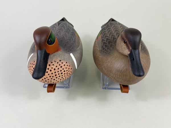 Frederick Brown Pair of Green-Winged Teal (#9310)