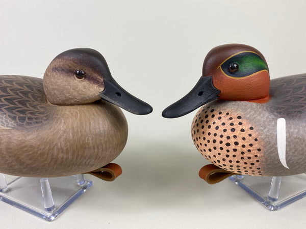 Frederick Brown Pair of Green-Winged Teal (#9310)