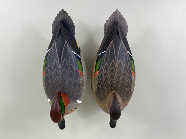 Frederick Brown Pair of Green-Winged Teal (#9310)