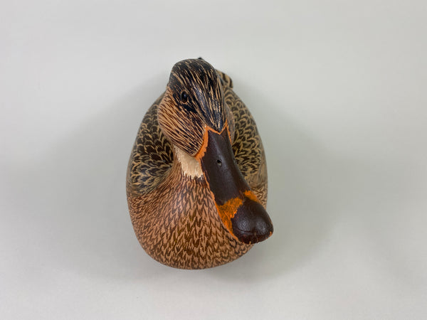 Unknown Mallard Hen, Raised Wings (#9313)
