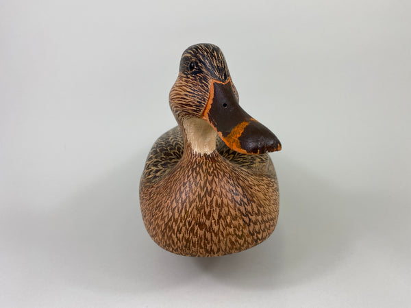 Unknown Mallard Hen, Raised Wings (#9313)