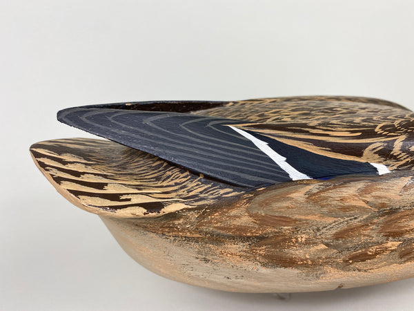 Unknown Mallard Hen, Raised Wings (#9313)