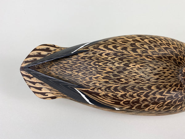 Unknown Mallard Hen, Raised Wings (#9313)