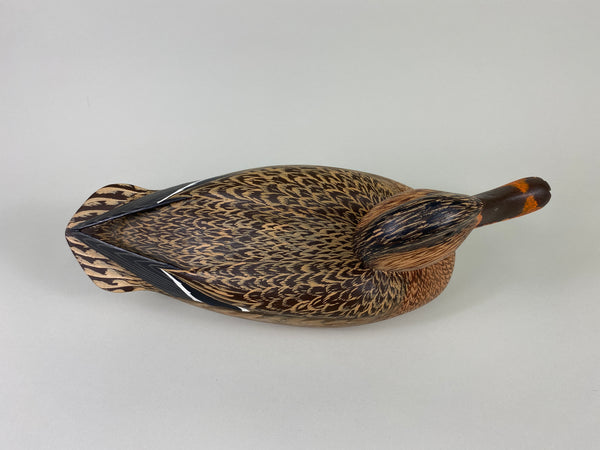 Unknown Mallard Hen, Raised Wings (#9313)
