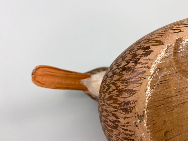 Unknown Mallard Hen, Raised Wings (#9313)