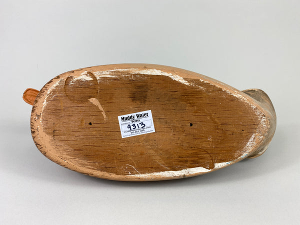 Unknown Mallard Hen, Raised Wings (#9313)