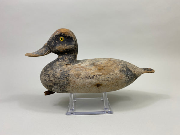 Bert Stranz Bluebill Drake (#9325)